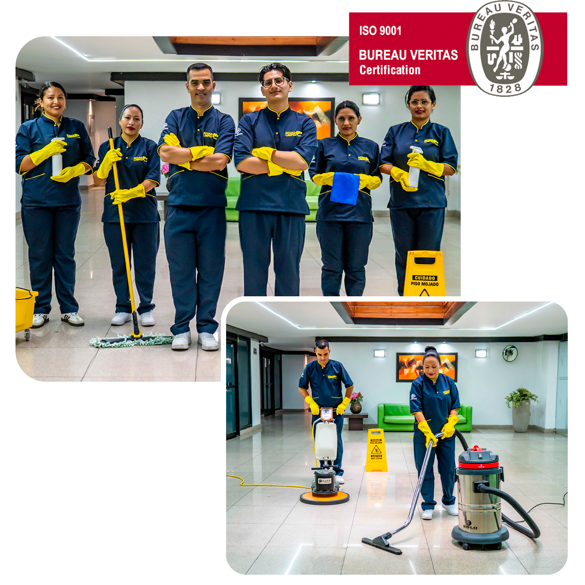 servicios