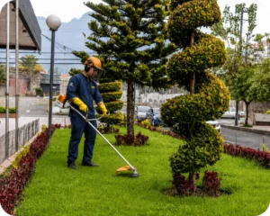Servicio de jardinería de Ecuador Limpio